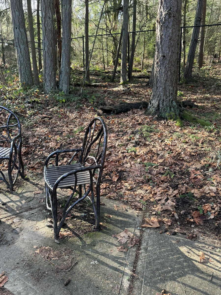 duttonmonkeys's tweet image. My sisters and dad wanted to go and play some this morning while me the babies slept in, so they took a walk through one my favorite places🤍#monkeyshines2024