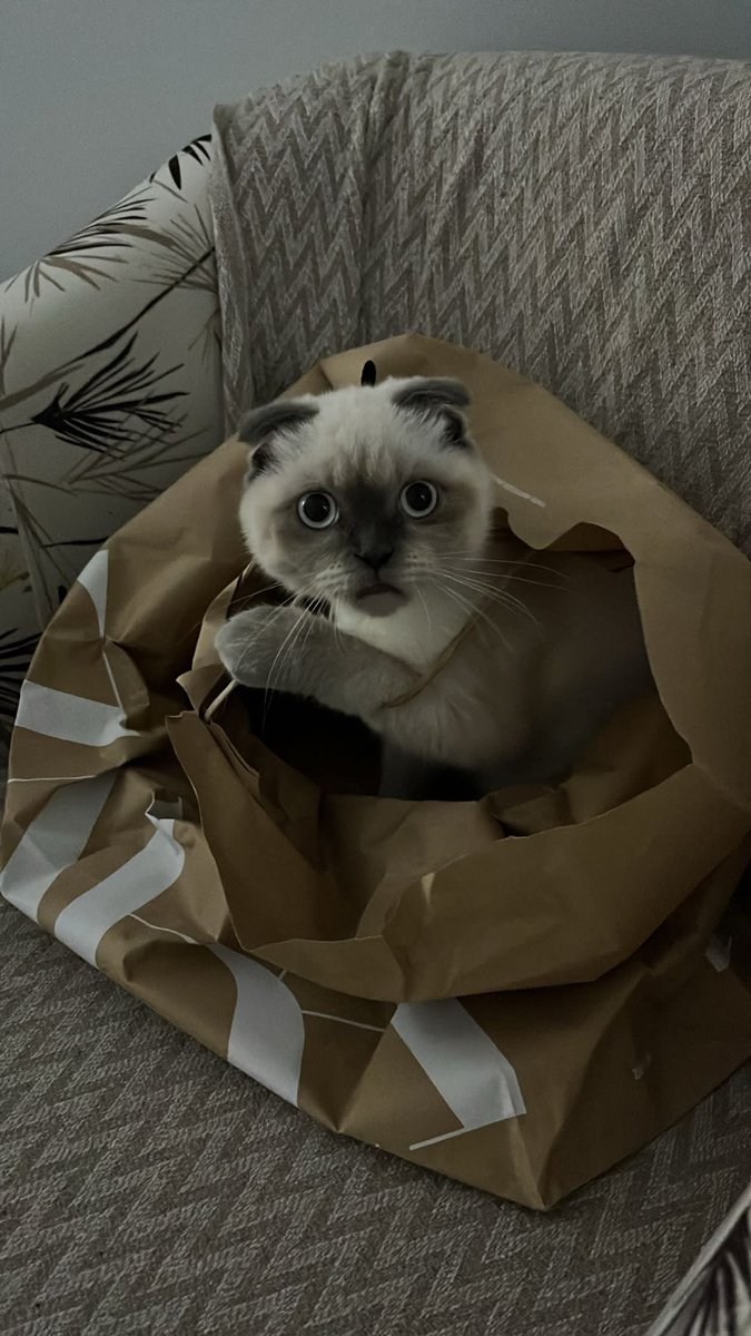 Bugünkü karlı zara alışverişm personel indirimiyle beleşe geldi