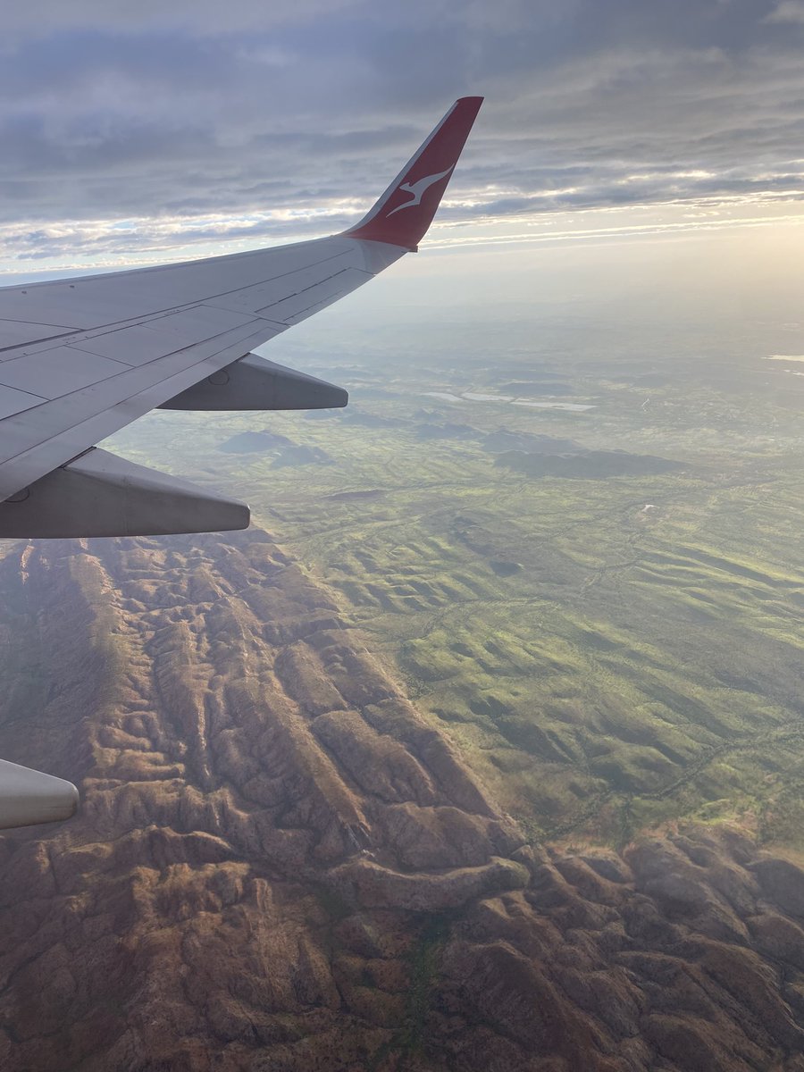 Angus Dalgliesh tweet media