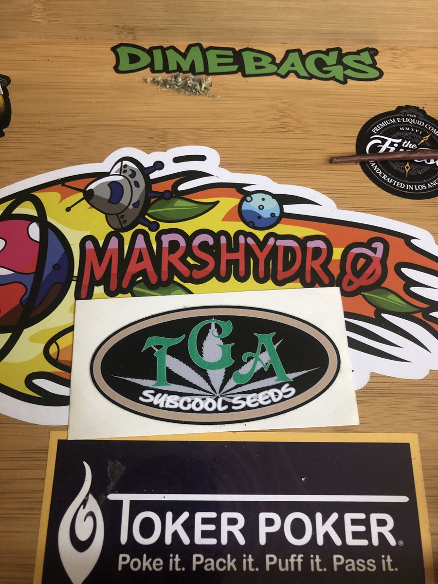 halfbaked218's tweet photo. Iβve had this TGA SubCool sticker for 14yrs and I still donβt wanna peel it and stick it. I was never able to finish that seed run. Almost got wrapped up on that grow. And never sprouted again. But Iβm gonna get a purple urkle cut and finish what I started. Rip Subcool. #subcool https://t.co/sbF1rrNlvw