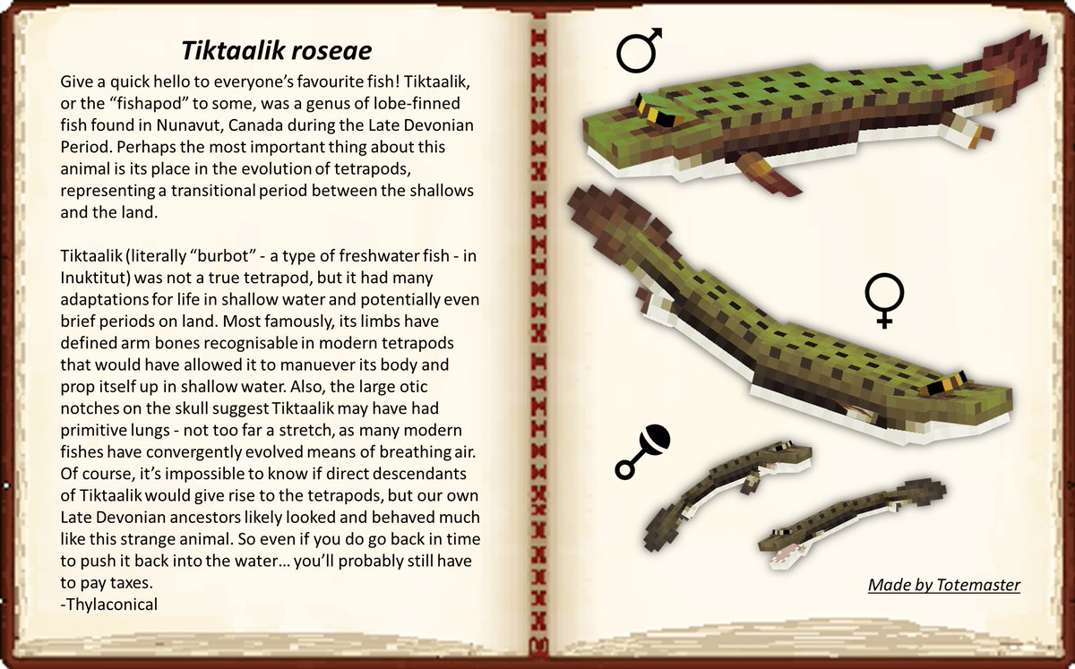 FossilsRevival's tweet photo. Behold.... #Tiktaalik #MinecraftDinosaurs #Minecraft #Blockbench https://t.co/rPcwGSF0Q8