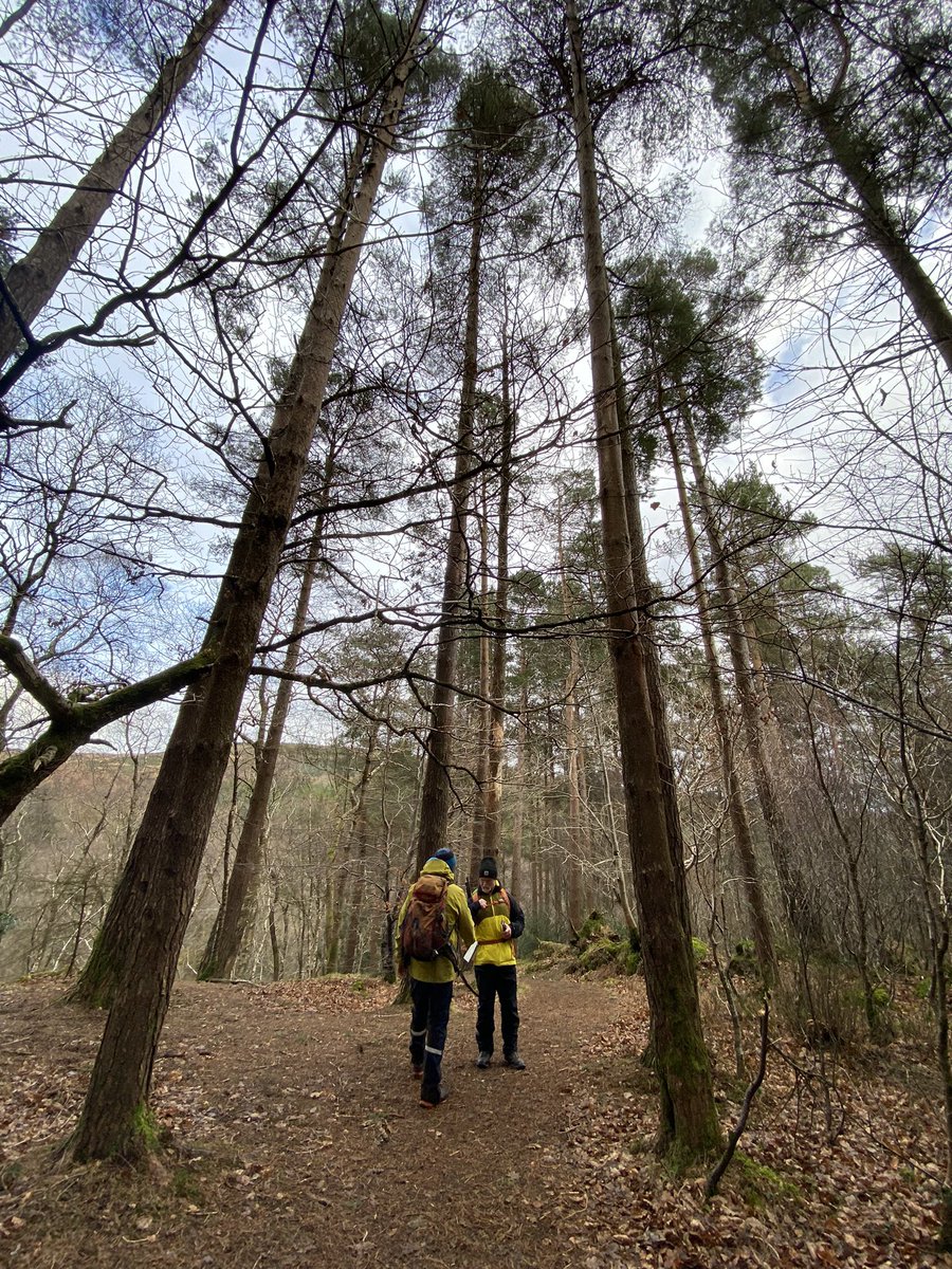 Naoise Collins tweet media