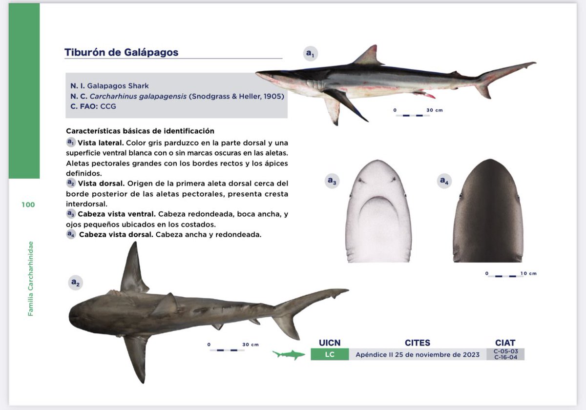 Noemí Cevallos tweet media