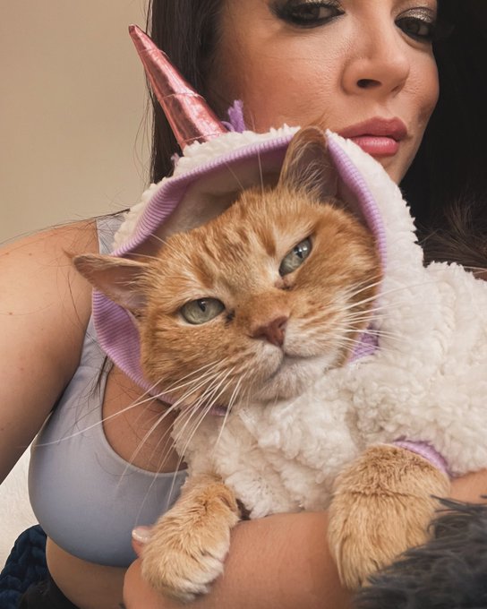 Gordita is a gangsta ass bitch, and I love her so much! Here&rsquo;s my princess in her unicorn outfit. https://t<a href="/tag/nationalpizzaday"class="tags"><span>#nationalpizzaday</span></a><a href="/tag/pizzaday"class="tags"><span>#pizzaday</span></a>