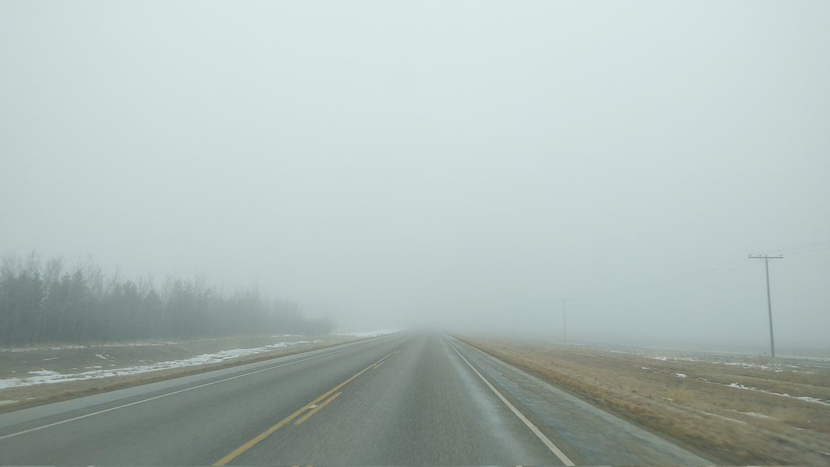ECCC should have a fog advisory out for Tisdale. February 4th 2:46 pm
#skstorm  @ECCCWeatherSK @rhubarbtime65