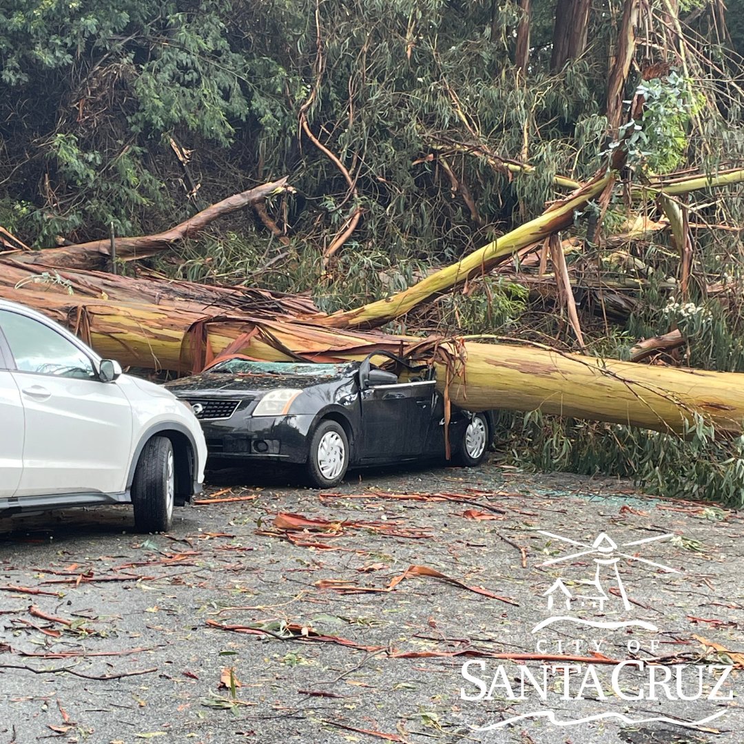 🚨Tree Incident on Southview Terrace in Santa Cruz.

🚧 Avoid the Area: For your safety, please avoid the 400-600 block of Southview Terrace until the situation is resolved.