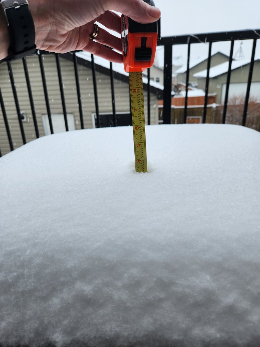 julesnovlesky's tweet photo. In case anyone needs to know, this is what 3.5" looks like. Had to whip out the measuring tape because I don't trust my judgment to estimate it....I've been lied to my entire life about size of course I'm going to be wrong 😆 #trustissues #sizematters #inches #snow #secondwinter https://t.co/r9vKelELed