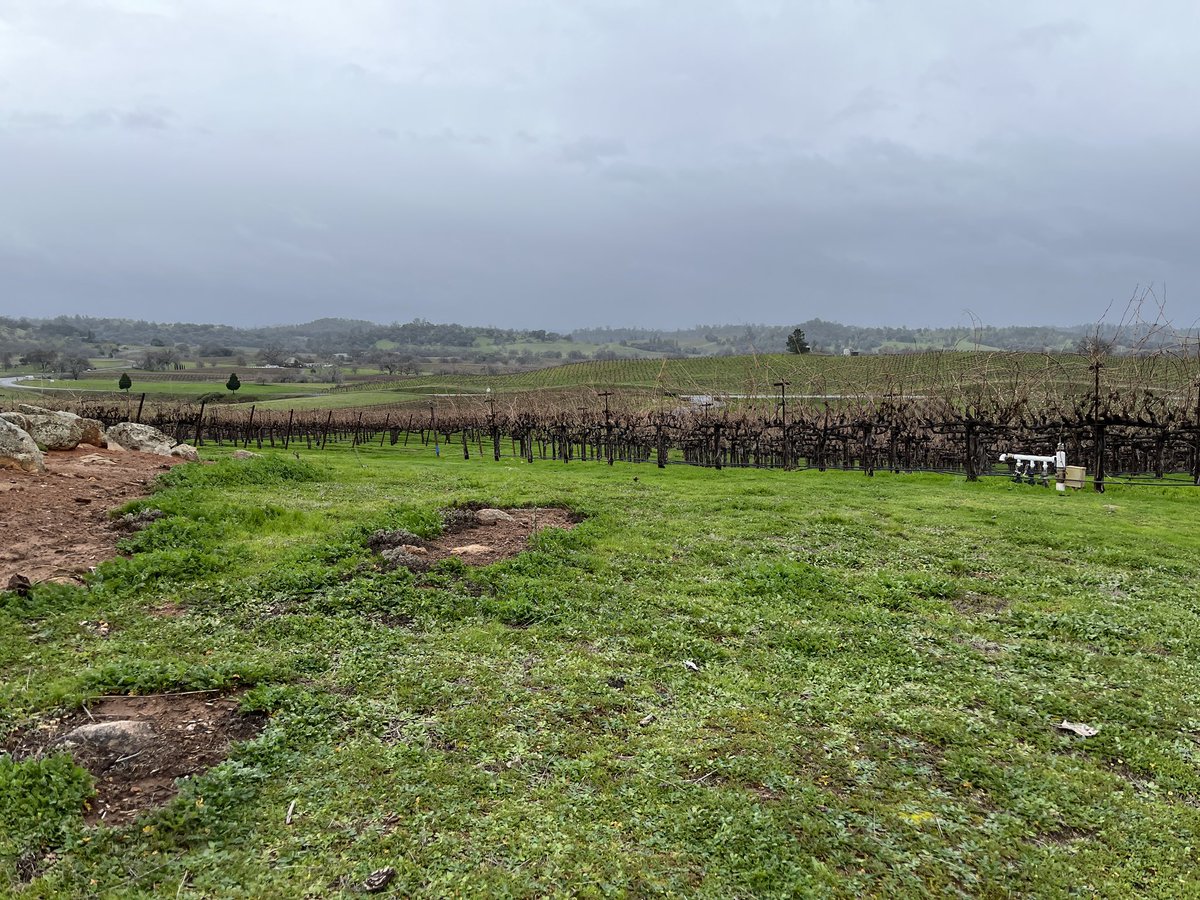 bryanbsnrn's tweet photo. Wine tasting part two https://t.co/N5fsE3ymzM