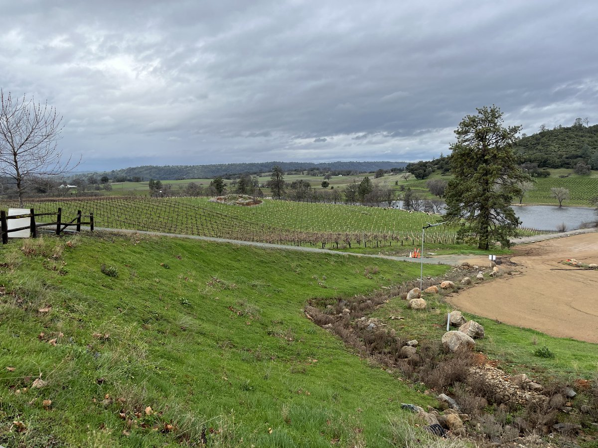 bryanbsnrn's tweet photo. Wine tasting part two https://t.co/N5fsE3ymzM