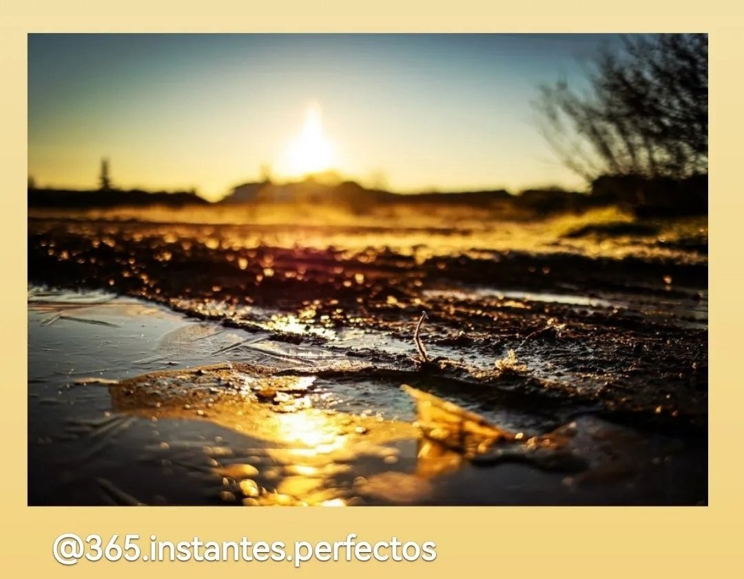 FotoAdictos_LR's tweet photo. Os dejamos unas cuantas fotos de los participantes del concurso de este mes.  Recordad que tenéis las bases en nuestro Instagram. El tema del mes es "Contrastes de color". #Soyfotoadicto #Contrastes https://t.co/apUHAhWIm4