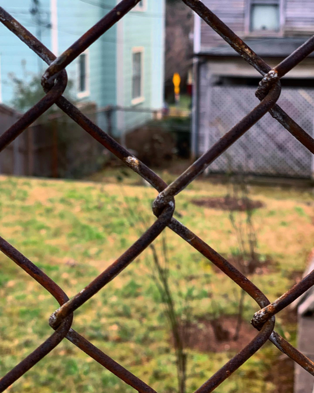 talltalestogo's tweet photo. Frames

Framed and not framed, us /
linked within rusted links: viewed, /
beheld, and set free.
.
.
#frames #links #view #beheld #free #haiku #poem #poetry #photo #davidebooker #oldnorthknoxville #february #thursday #020322 #2022 https://t.co/wYFYFOOJV1