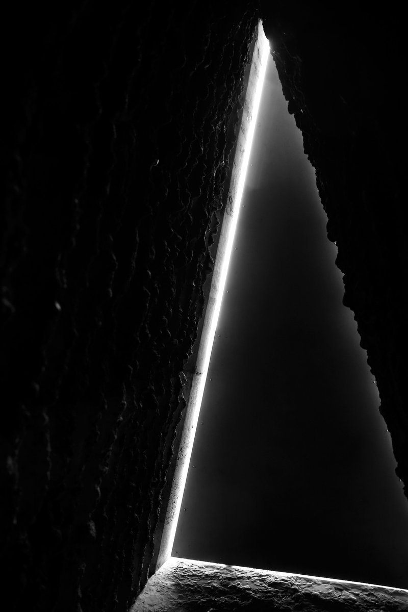 Archillect (@archillect) on Twitter photo 