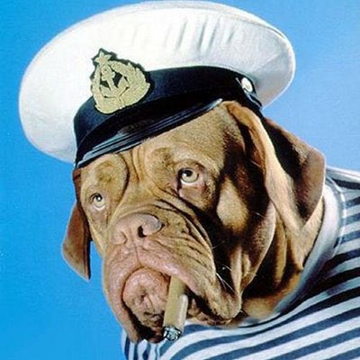 SaltyTidbits's tweet photo. #NewProfilePic https://t.co/imT45EUVOv