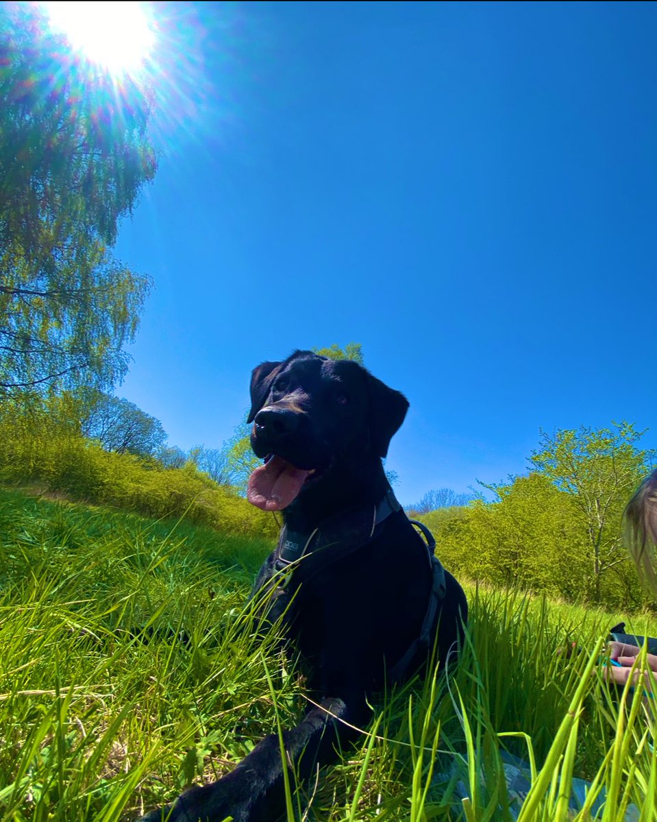 FRiiKKE (@friiikke) on Twitter photo 