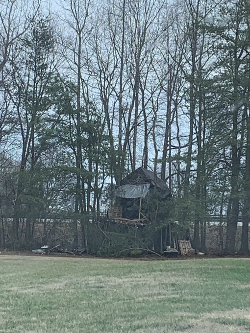 There are so many unhoused people in this part of my city that a couple of people built their own treehouse