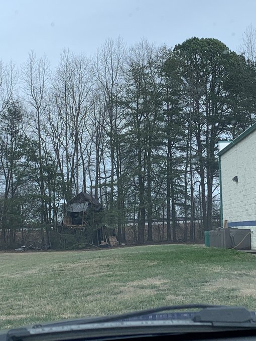 There are so many unhoused people in this part of my city that a couple of people built their own treehouse