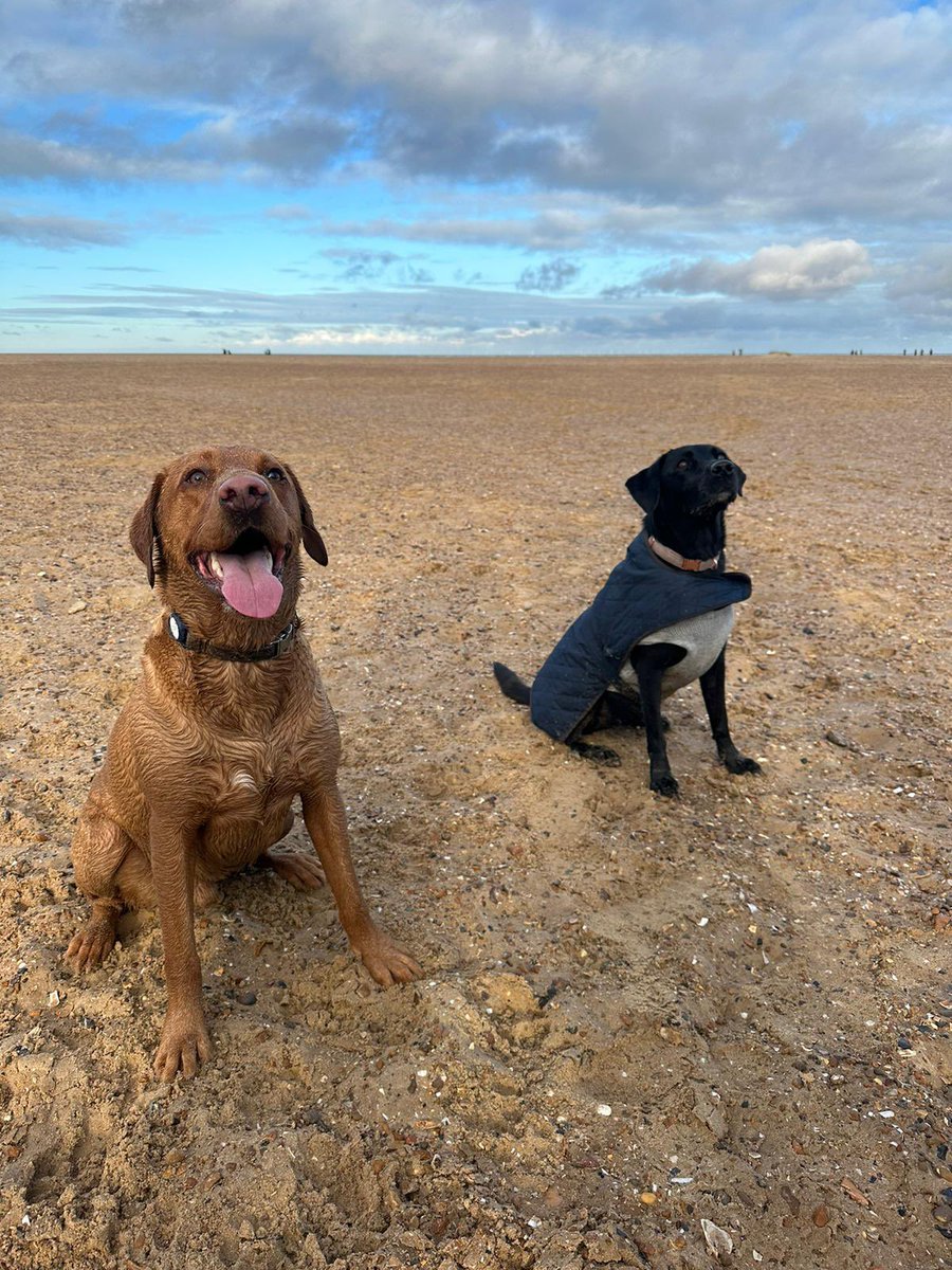 lee chapman tweet media