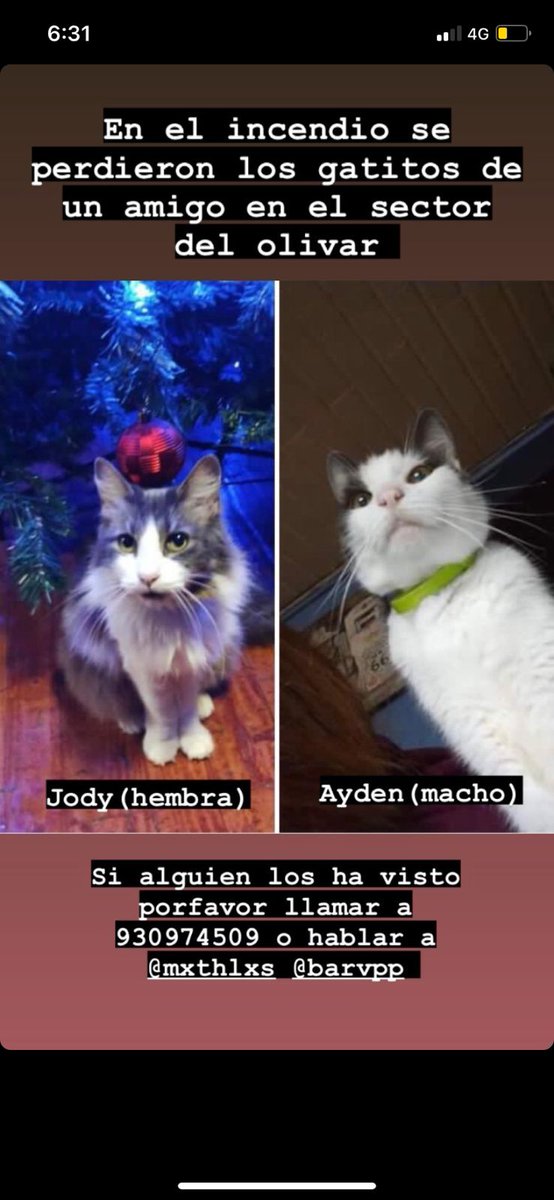 Andriü 🦖 tweet media