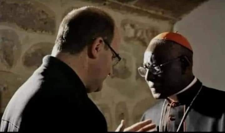"Mientras los cristianos mueren en Oriente por su fidelidad a Jesús, en Occidente algunos hombres de lglesia debaten para reducir al mínimo las exigencias del Evangelio" 
(Cardenal Robert Sarah)