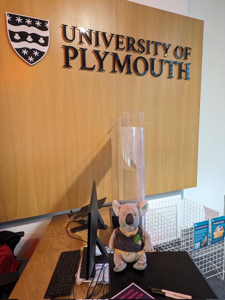 Nigel the koala tweet media