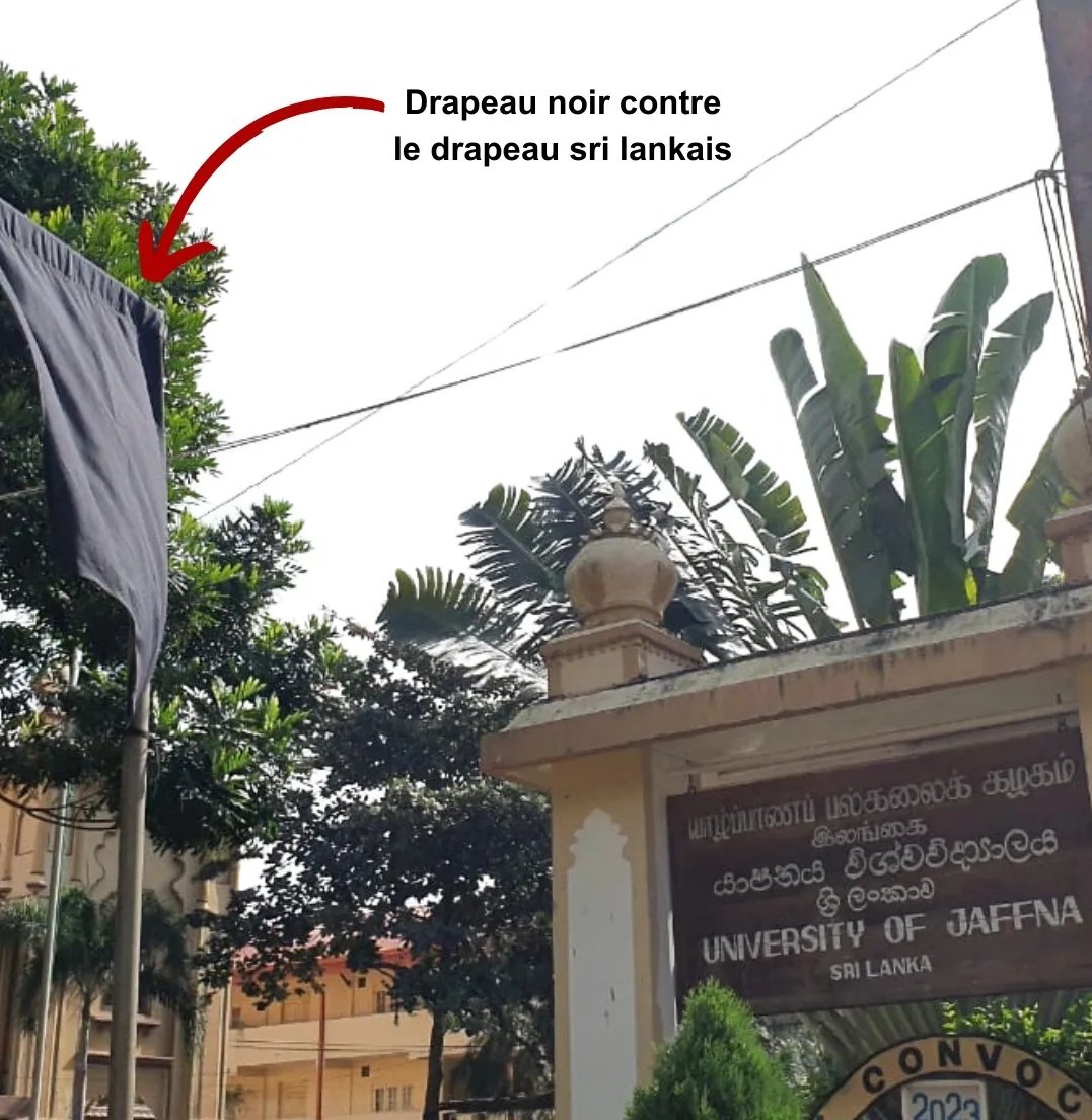 eminamofcl's tweet photo. Plusieurs organisations tamoules, telle que l'Association des proches des portées disparues de force ou l'Union des étudiants de l’Université de Jaffna, ont appelé à boycotter le jour de l'indépendance du Sri Lanka.
#NotMyIndependence https://t.co/zJdzmHAHnP