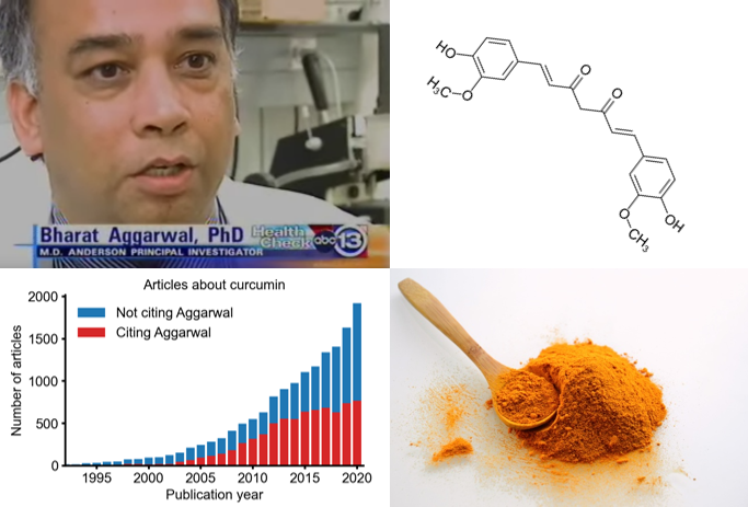 “The King of Curcumin: a case study in the consequences of large-scale research fraud.” reeserichardson.blog/2024/01/30/the…