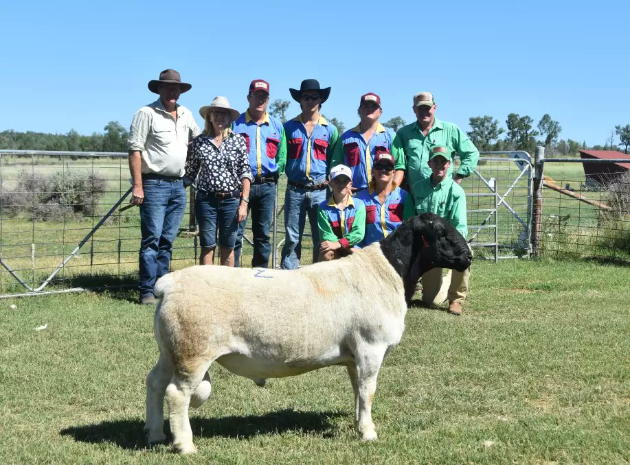 'Amarula Dorpers crack half century with $50,000 ram'

Read the full article by Andy Saunders for the Queensland Country Life: dorper.com.au/amarula-dorper… *SUBSCRIBER ONLY*