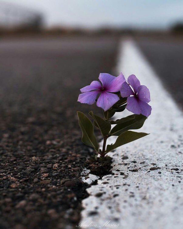 Bir şeyde nasibin varsa, Allah onu elde edebilmen için bütün dengeleri değiştirir.

Allah’a güven.