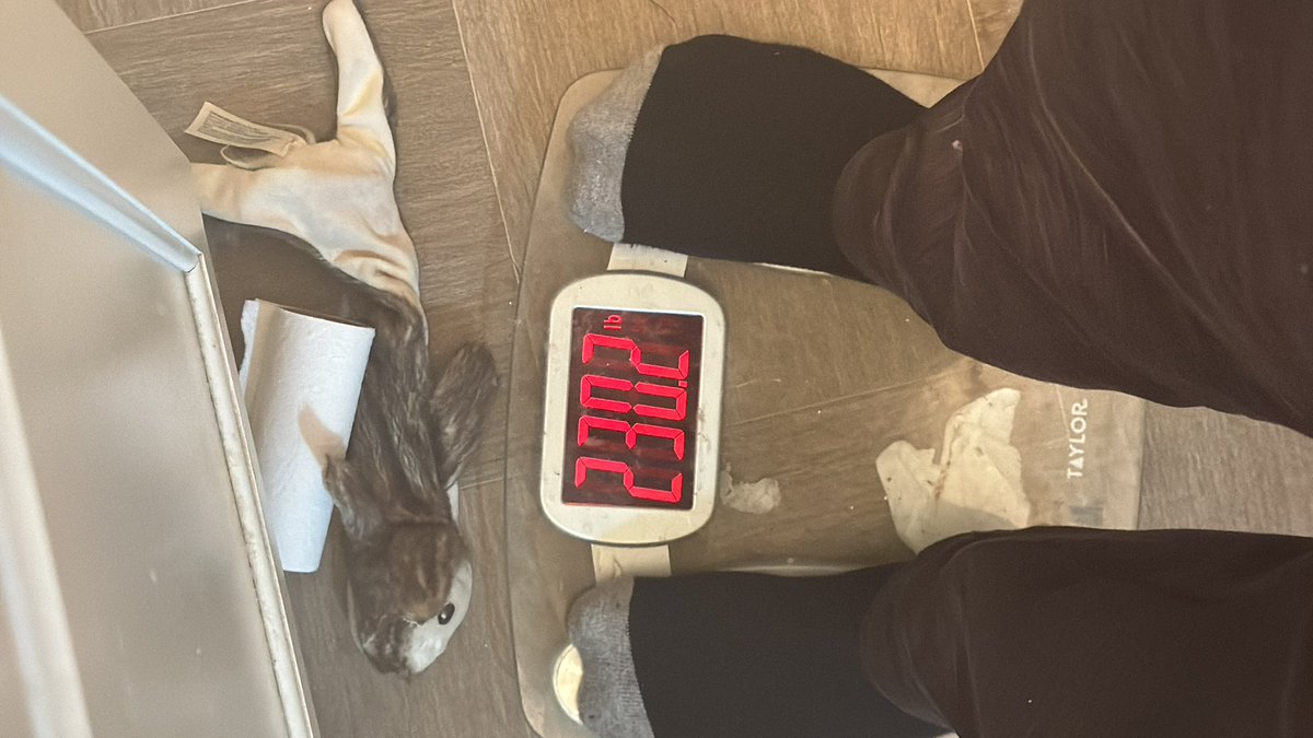 Swankenator tweet media