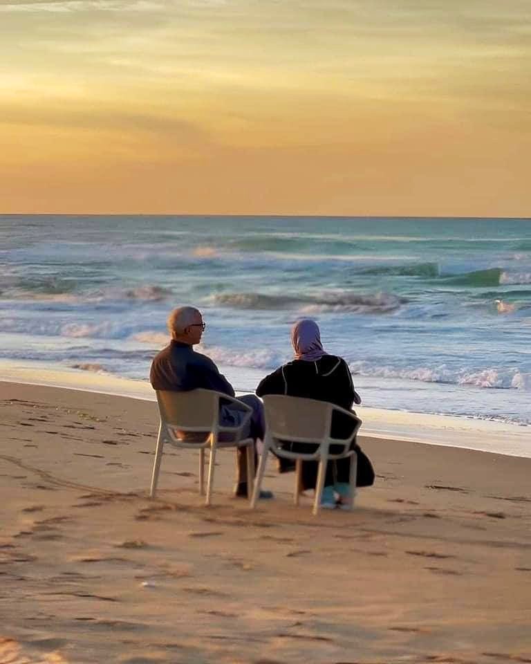 scofield.qlf 🌸 tweet media