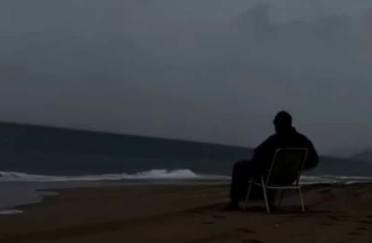 scofield.qlf 🌸 tweet media