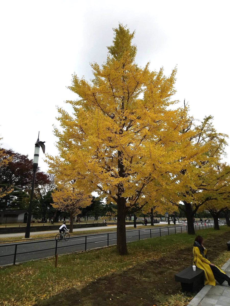 rodelcost's tweet photo. QT a picture from fall https://t.co/PtE34ty8qc