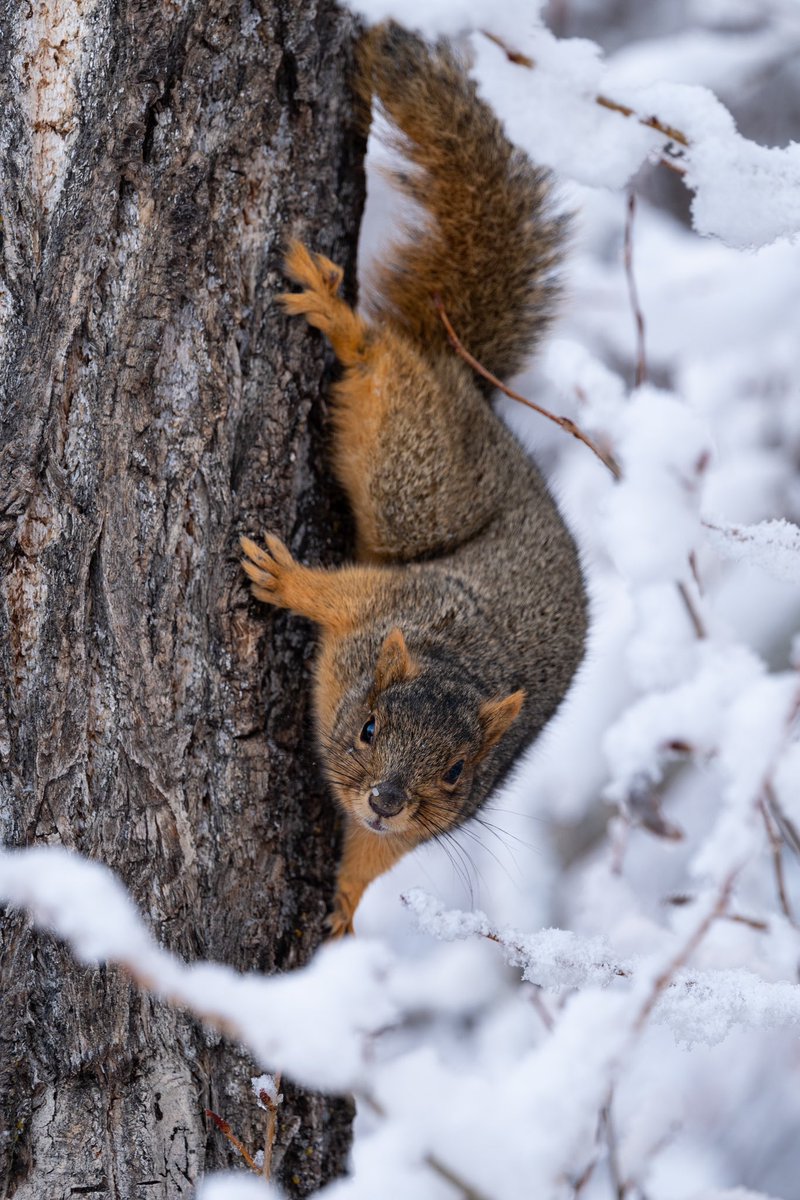 colorado_images's tweet image. A few images from North Cheyenne Canon in @VisitCOS @LumixUSA #visitcos #lumixusa #s5ii