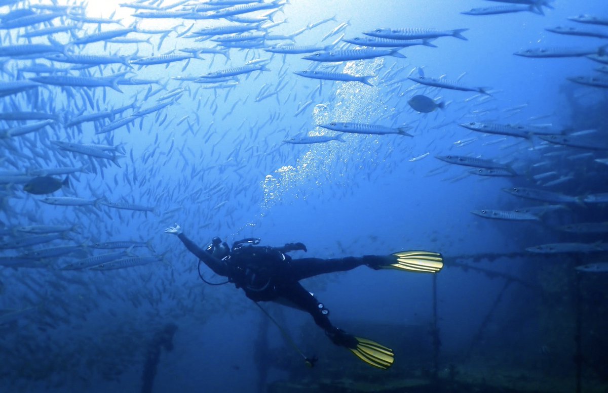 sea_mastermind's tweet photo. #scubadiving with #seamastermind #ดำน้ำ #เกาะช้าง #ตราด #ประเทศไทย https://t.co/DvmgoOU4O5