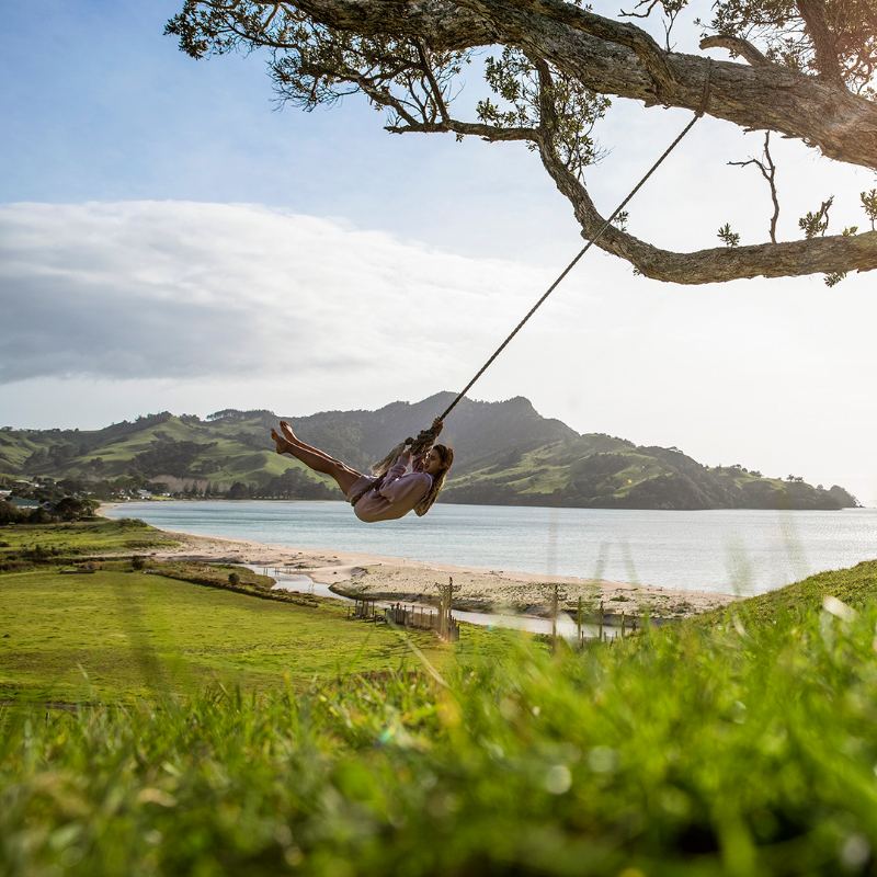 PureNewZealand's tweet photo. Buckle up for an unforgettable journey filled with art, adventure, and beautiful landscapes as you roadie your way from Auckland to Taupō! 🚗 Ready for the ride?​

#NZMustDo #NZBucketList​
📸: Miles Holden, Matt Crawford, Skydive Tauranga, Graeme Murray, AJ Hackett