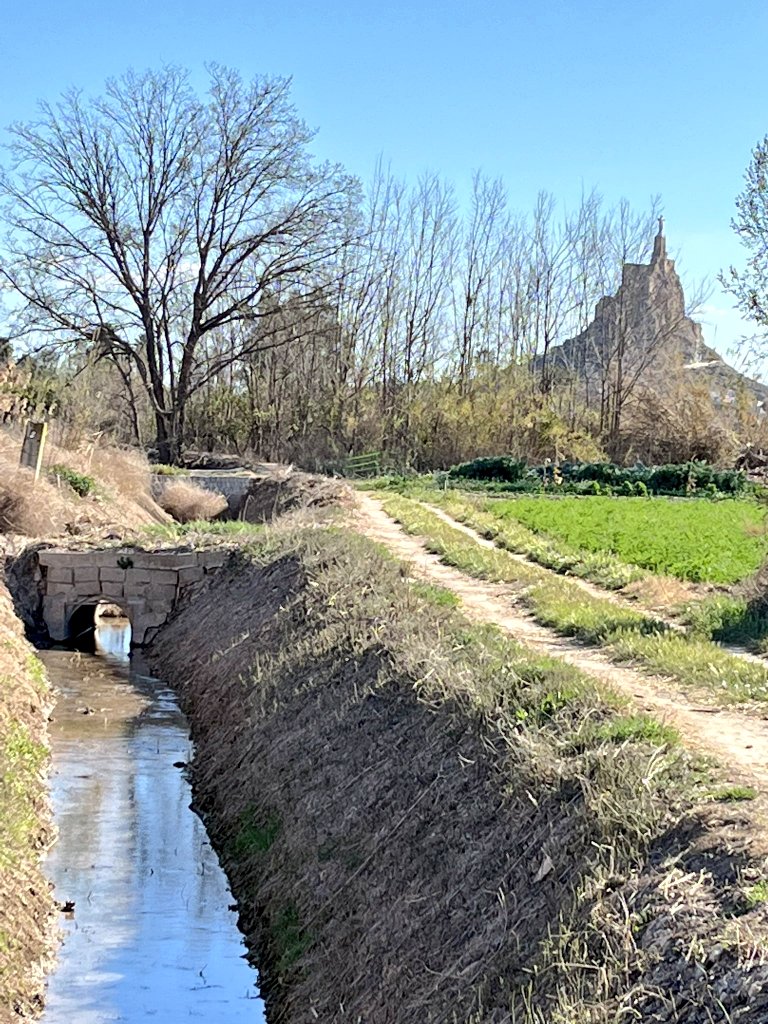 #ProhibidoEntubar y #MurciaDesentuba para que esta belleza y patrimonio histórico vuelva a todos los lugares de la #HuertaDeMurcia donde aún es posible.

#Fotaza