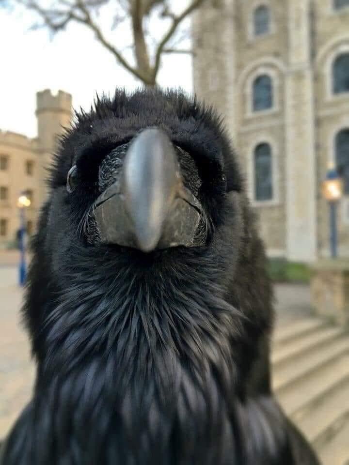 naturamazing's tweet photo. Perfect picture .. https://t.co/kSzRxbkhtF