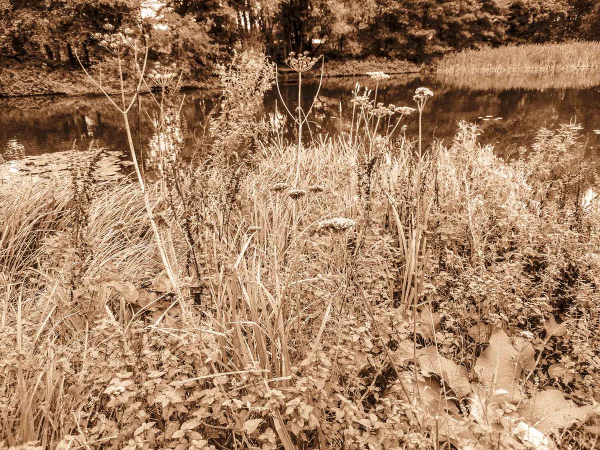 AnglingHall's tweet photo. We are really glad now that those who have enlisted upon our waiting list have begun joining Shotton Hall Angling Club, a very warm welcome to you all. https://t.co/5AnpulgpWk https://t.co/EaUfutRzcF