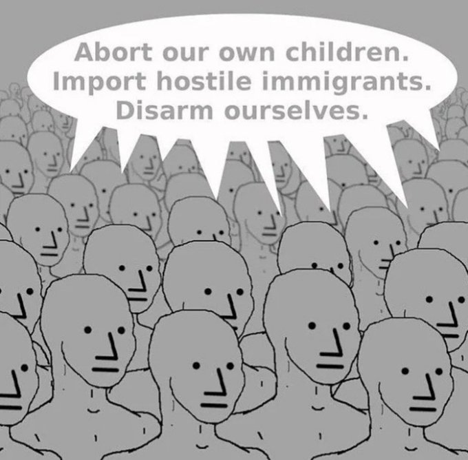 Daily NPC & Low IQ tweet media