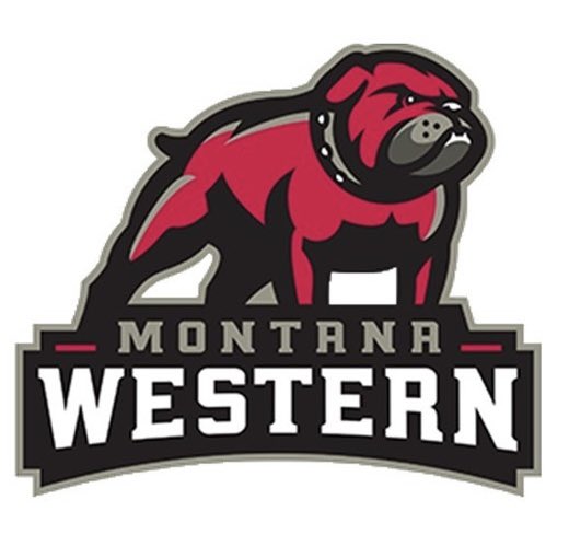 Kyler Engellant tweet media