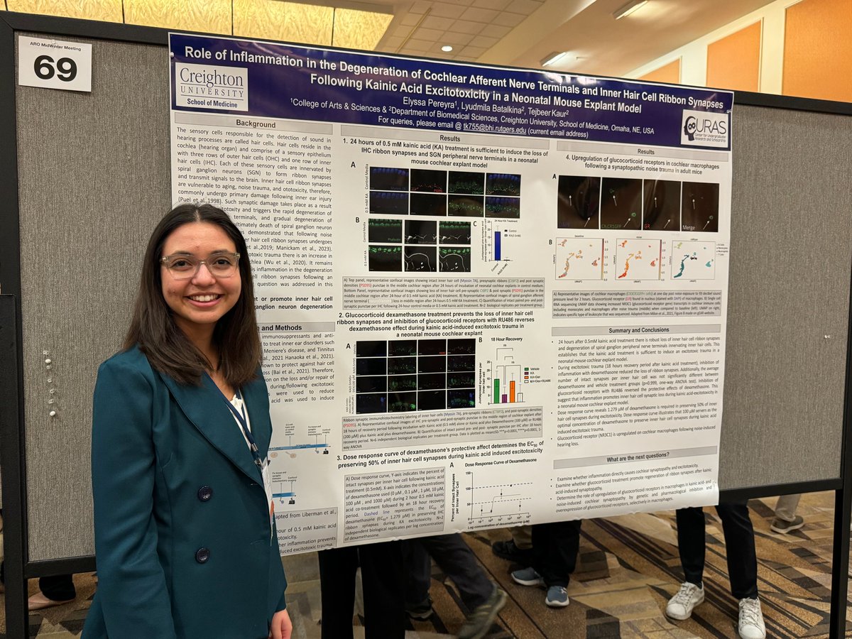 Congratualations to Creighton Research Assistant Elyssa Pereyra for her poster: Glucocorticoid Treatment Protects Inner Hair Cell Ribbon Synapses from Degeneration following Kainic Acid-Induced Excitotoxicity in Neonatal Mouse Cochlear Explants
#ARO2024