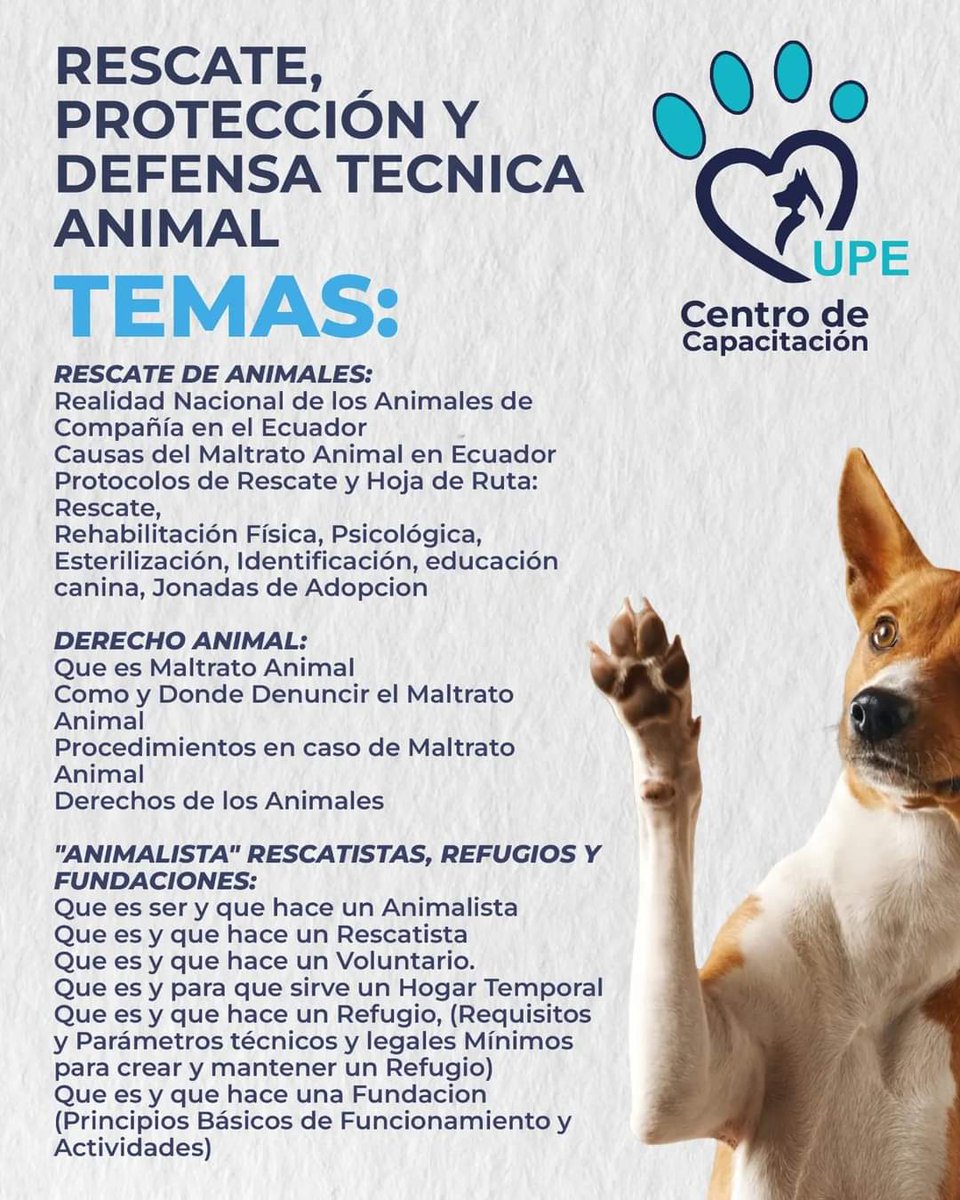 ¿Te Importan los Animales? ¿Quieres ser parte de la Solución? La Fundación UPE tiene el honor de Invitarte al Curso Gratuito en favor de los animales INSCRÍBETE 0987066711 wa.link/oe29cd @DefensoresAn
@poliperros
@NellaIrigoyen @AVAstudillo @jcarlosaizprua @DanielNoboaOk