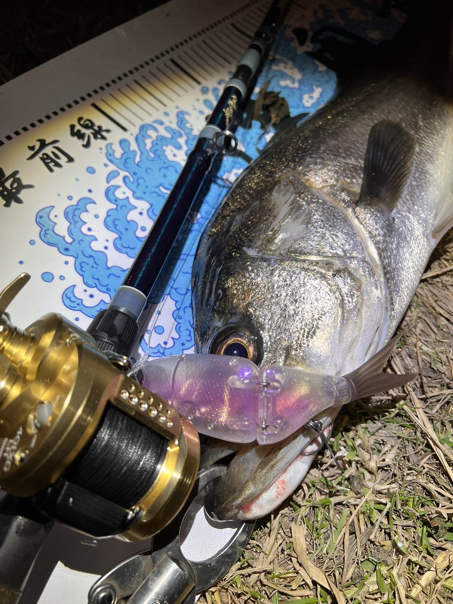 Gaudisの黒ラインかっちょええ🔥
#lunkerpool #湾奥最前線 #tulalajp #corona80