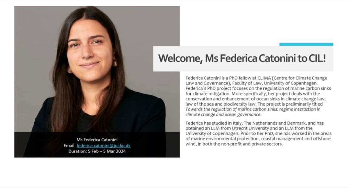 Federica Catonini tweet media