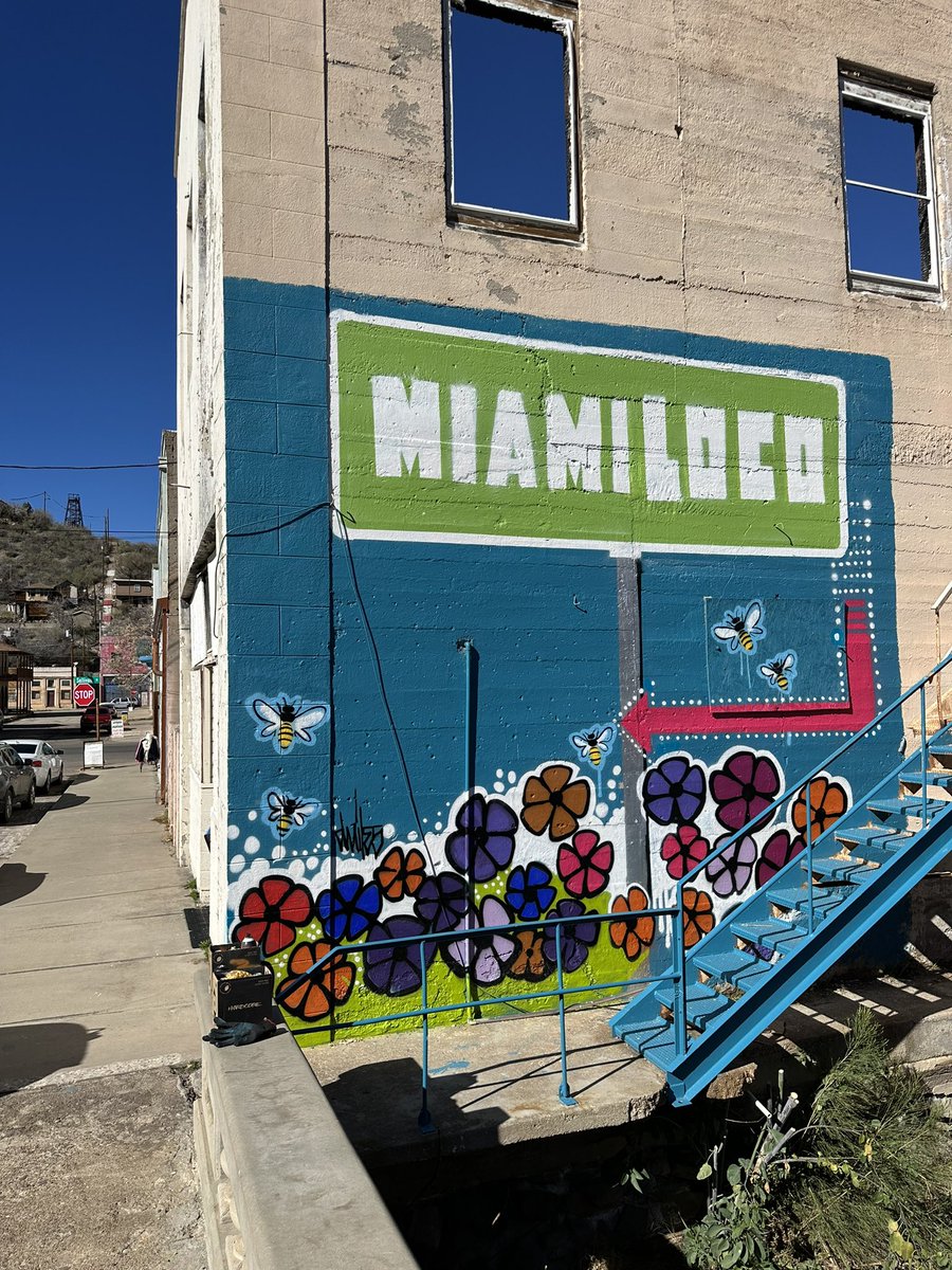 Miami AZ Miami Loco I did mural today
