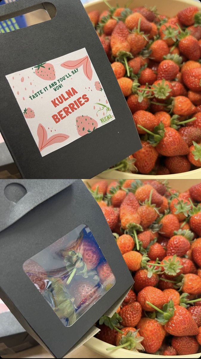 Our packaging🍓 “taste it and you will say wow!” 
<a href="/HayAlSharooq/">HayAlSharooq</a>