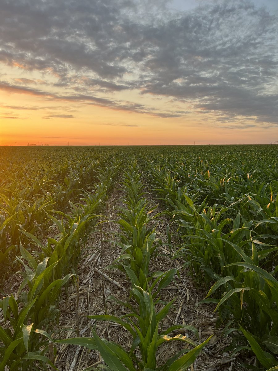 Treven Burch tweet media