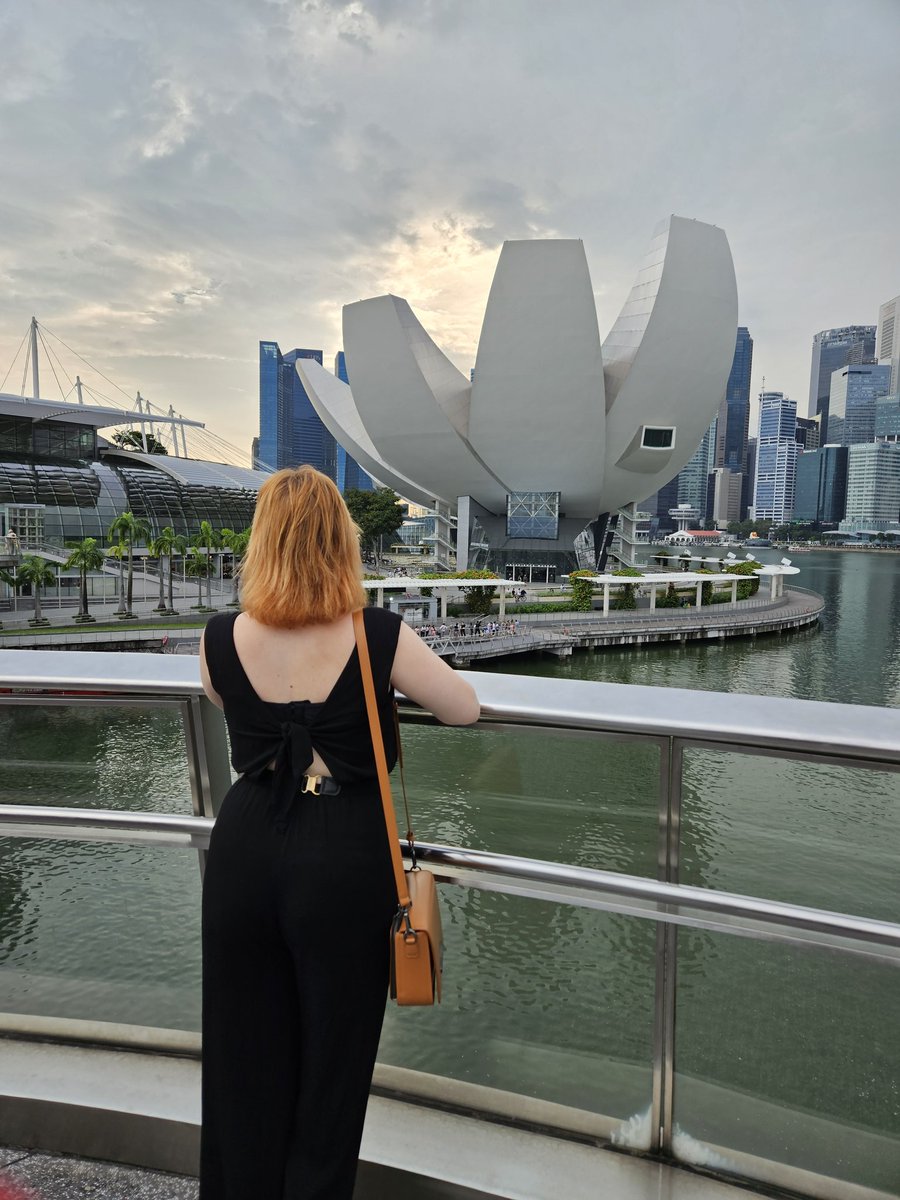 laritorhacs's tweet photo. Diário de Singapura
Eu não me canso da beleza desde lugar. Todo ponto eu quero parar e tirar uma foto. Estou no meu terceiro dia na cidade (sem contar os dois de voo) e parece que estou aqui há meses... quero ficar, inclusive. https://t.co/QkNrqQpdRU