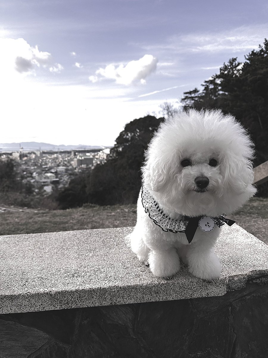 soph0531's tweet photo. おはよ
雨だネ https://t.co/EoepWsxdLV
