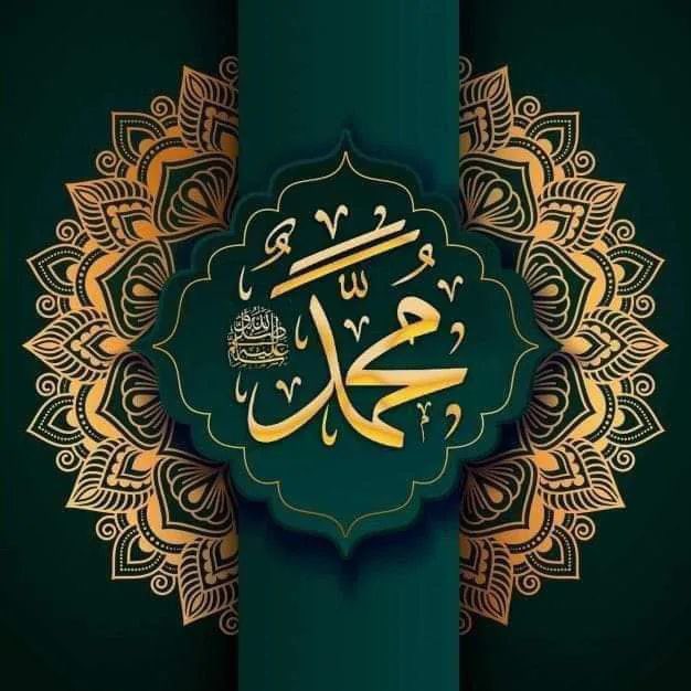 سعدیہ ملک tweet media